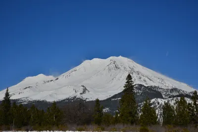 DSC_5891 (Large).JPG